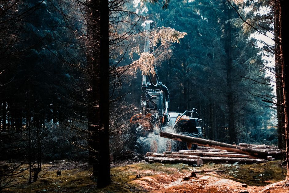 Used Forestry Equipment For Sale Used Forestry Equipment For Sale